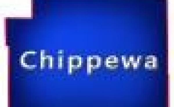 Chippewa County Wisconsin Condos for Sale