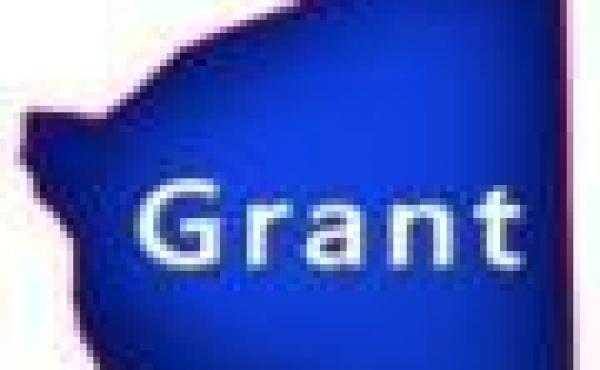 Grant County Wisconsin Condos for Sale