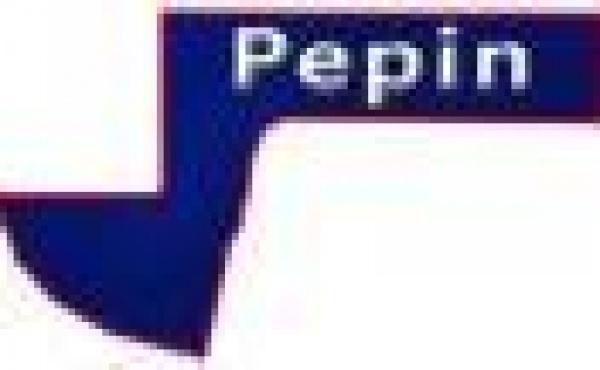 Pepin County Wisconsin Condos for Sale